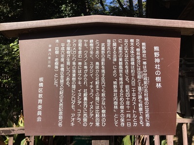 案内板『熊野神社の樹林』