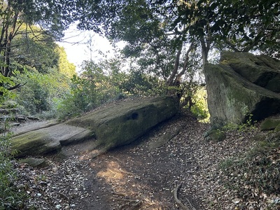 神武寺山山頂近くの巨石