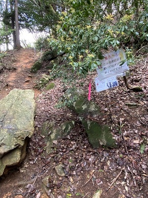 登山道