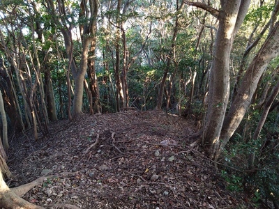 主郭下の尾根道