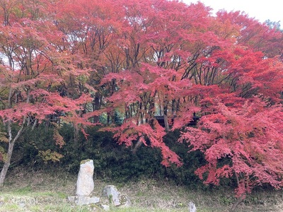 竹田城登山道と紅葉②