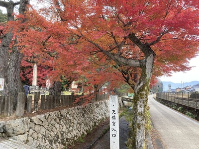 竹田城登山道と紅葉③