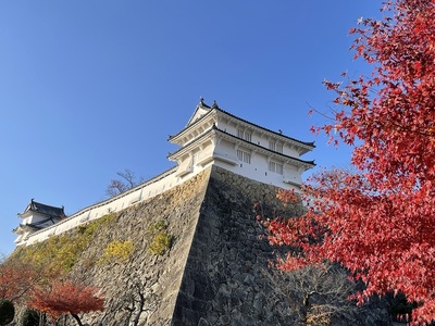 姫路城 カの櫓と紅葉