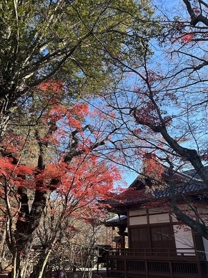 懐古神社と紅葉