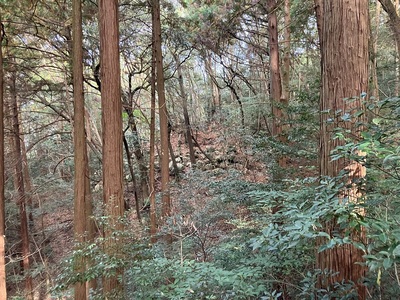 岩国城・破却された石垣