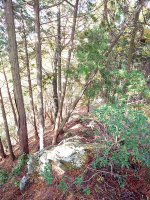 主郭から南西の尾根道