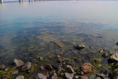 湖水に沈む諸々の石