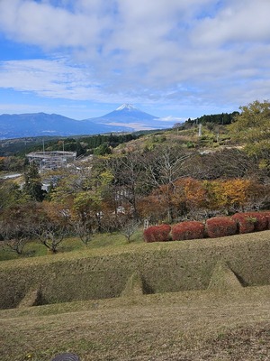 山中城から見る富士山