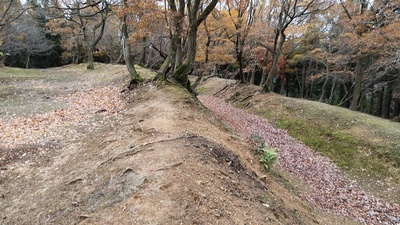 土塁と空堀