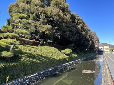 東側の水濠と土塁