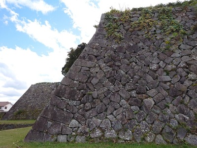 北側から眺める本丸の石垣