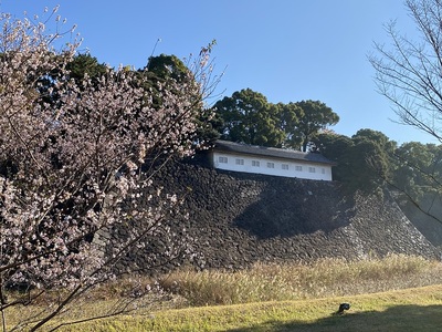 富士見多聞（乾通りより）