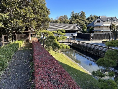 南側土塁上から見た太鼓橋と水濠