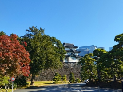 富士見櫓　秋季皇居乾通り一般公開