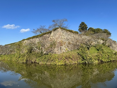 水堀と石垣