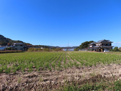 主郭跡