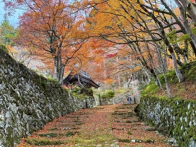 山門と参道