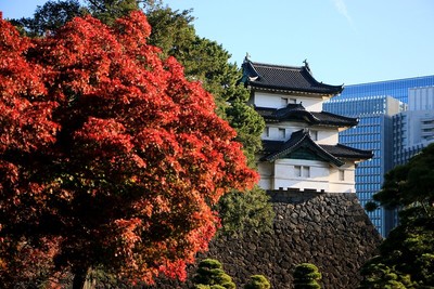 紅葉と富士見櫓