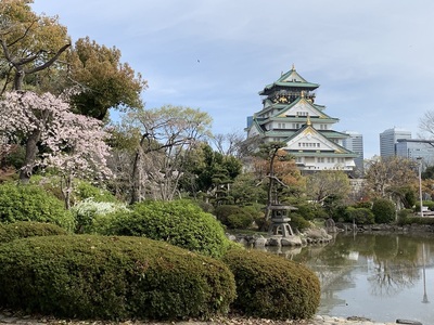 日本庭園からの天守