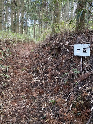 登城道の土塁