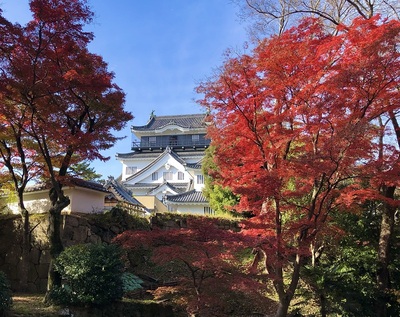 本丸大手門からの天守