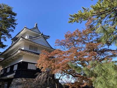 紅葉と鉄櫓