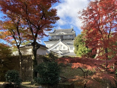 紅葉と天守東側