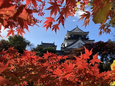 紅葉と天守北側