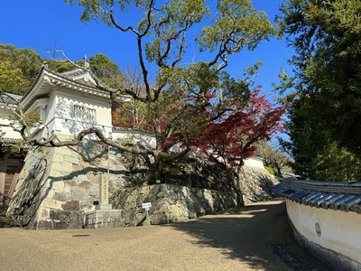 埋門周辺