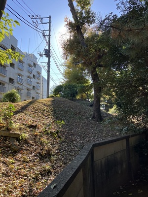 豪徳寺参道横の土塁