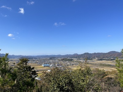 下の茶屋丸から篠山城方向の眺め