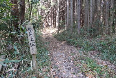 登城路