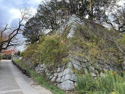 本丸乾櫓跡（の下の石垣）