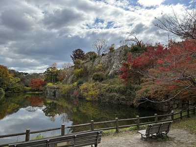 桜堀と本丸北側の石垣