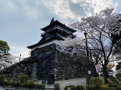 天守と桜