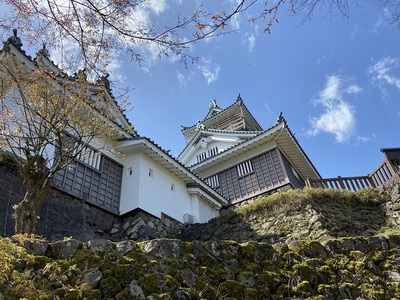 天守と桜