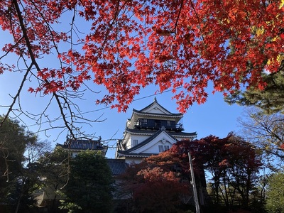 紅の天守北側