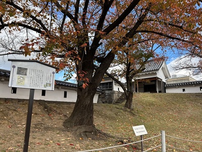 本丸北東隅櫓（模擬）と土塁・石垣・階段