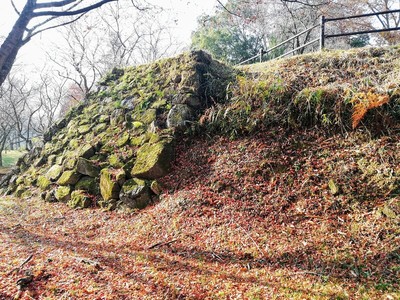 本丸東側の石垣