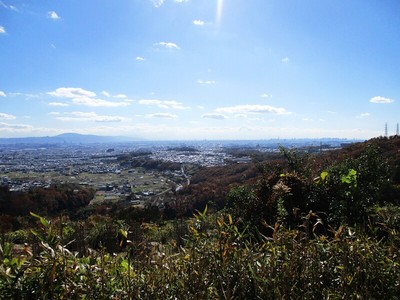 主郭より大阪平野を望む