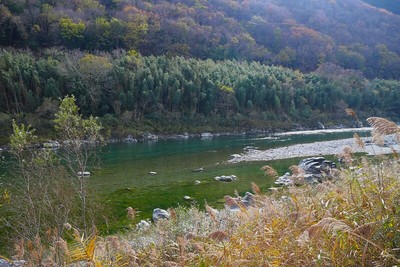 中鳥城より吉野川南岸を望む