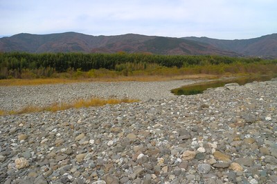 中鳥城址西側の河原