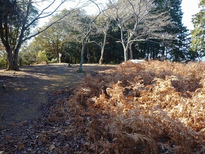 冬の本丸