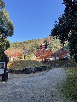 信長公居館跡と三重塔