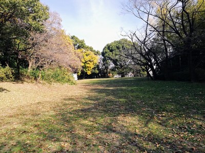 二ノ丸の状況