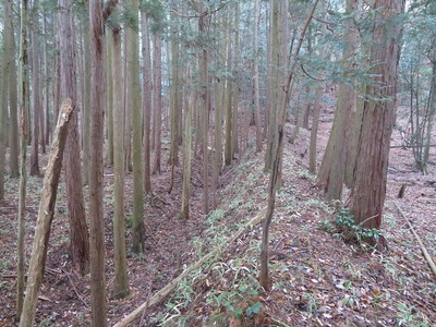 山屋敷の空堀と土塁