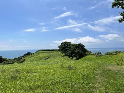 内館曲輪から竪堀方向