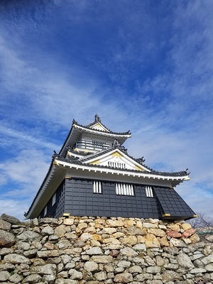 浜松城天守閣