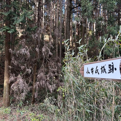 登城口