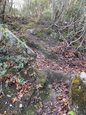 主峰(奥三尾)の登山道